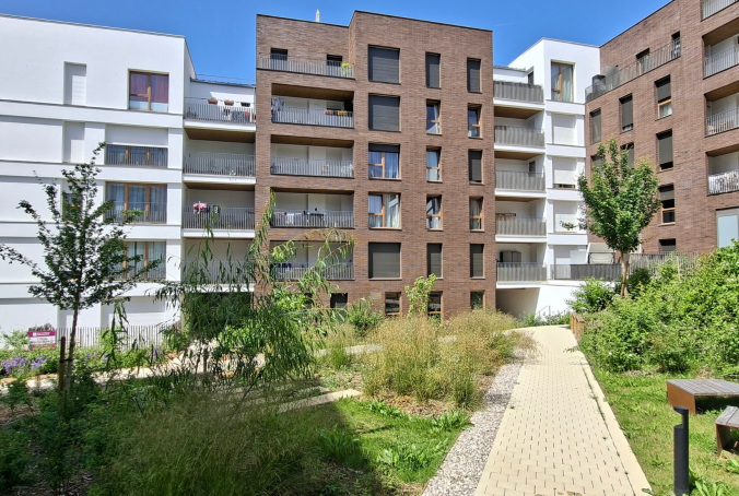 torcy-vertuose-header